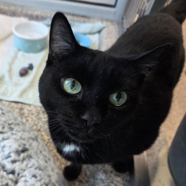 LULU
