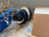 EDDIE - Photo 1