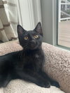 Winnie - Photo 2
