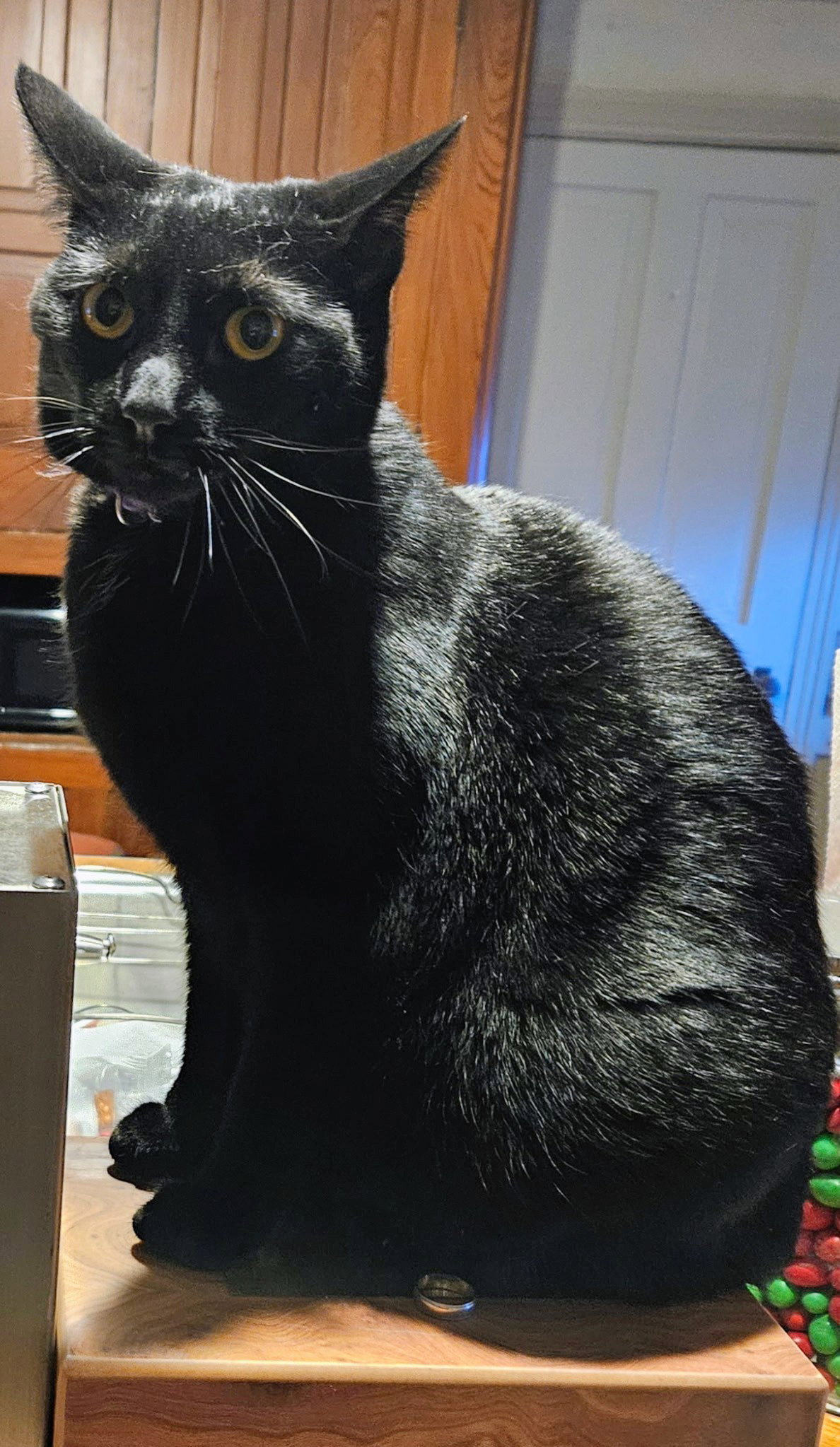 Minnie Image
