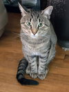 Wilbur - Photo 3