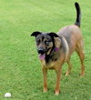 Bella - Photo 3
