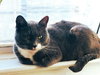 Smokey - Photo 2