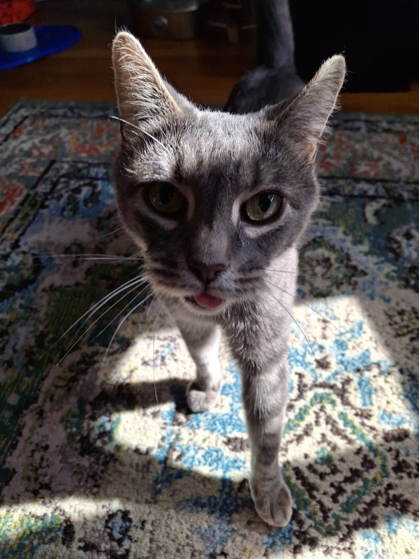 Bootsy