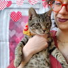 Gus - Photo 1
