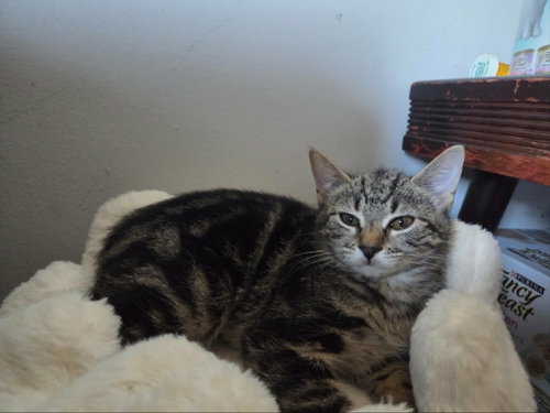 Jonesy photo 2