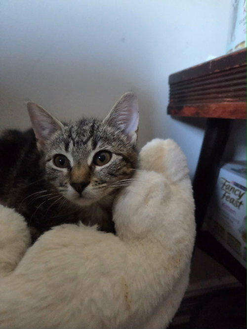 Jonesy photo 4