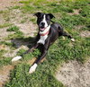 Poseidon - Photo 1