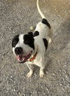 Buddy Zander - Photo 2