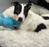 Buddy Zander - Photo 3