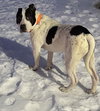 Buddy Zander - Photo 4