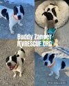 Buddy Zander - Photo 2