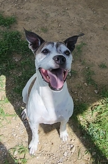 Tyson