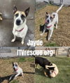 Jayde - Photo 2