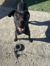 Chalupa - Photo 1