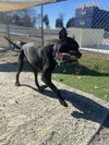 Chalupa - Photo 4