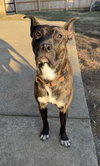 Tootsie Roll - Photo 2