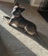 Tootsie Roll - Photo 4