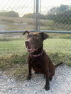 Stella Grace - Photo 2