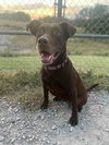 Stella Grace - Photo 3