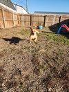 Orton - Photo 2
