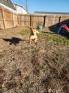 Orton - Photo 3