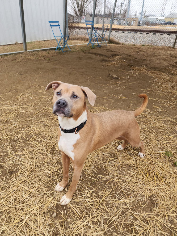 Jax