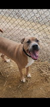 Jax - Photo 2