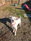 Frito - Photo 3