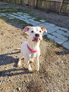Frito - Photo 4