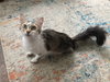Junie B. - Photo 2