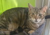 Princess Zotz - Photo 1
