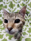 Princess Zotz - Photo 4