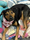 Tasha - Photo 1