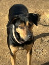 Tasha - Photo 4