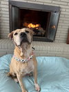 Frieda - Photo 1