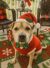 Frieda - Photo 4