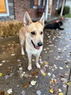 Sandy - Photo 1