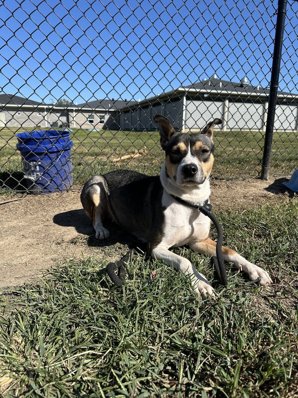 Lucy