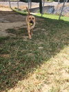 Jasmine Faye - Photo 4