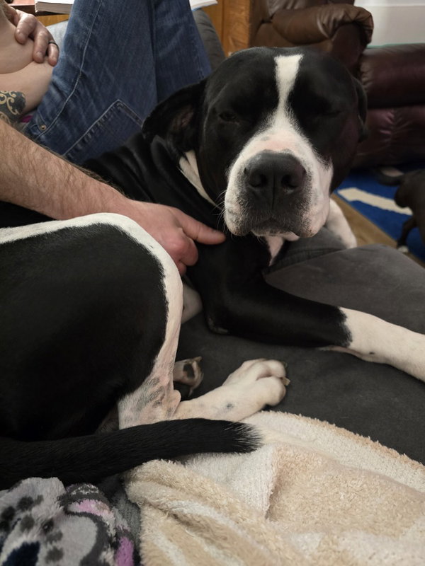 Gunner "Sampson"