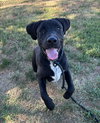 Kramer - Photo 3