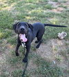 Kramer - Photo 4