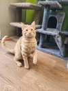 Taki - Photo 3
