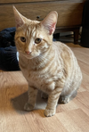 Taki - Photo 4