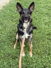 Cass - Photo 4