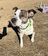 Grace - Photo 1