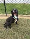 Cash - Photo 2