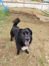 Max - Photo 3