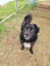 Max - Photo 4